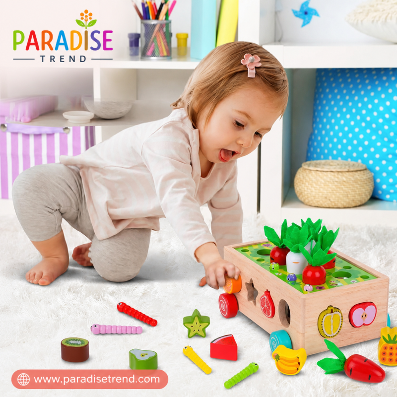 Wooden Shape Sorting & Learning Box for Kids