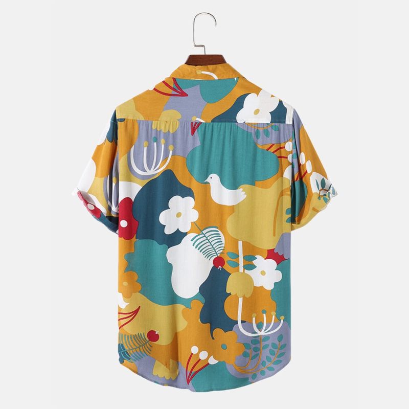 Luctus suscipit image 2